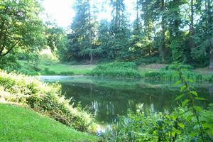 Soudley Ponds